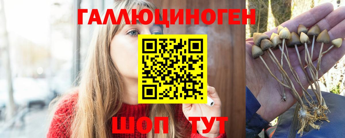 Галлюциногенные грибы ЛСД Реутов